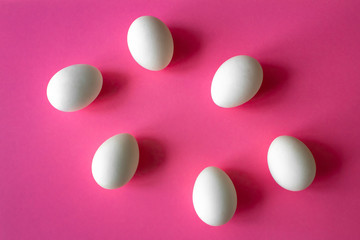 six white chicken eggs on magenta background with place for inscription