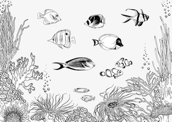 Coral reef with tropical fishes. Black and white vector illustration.