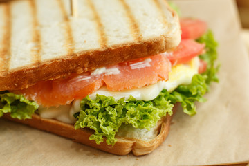 Closeup juicy sandwich with bacon, fresh vegetables, green salad and dark lines after grill