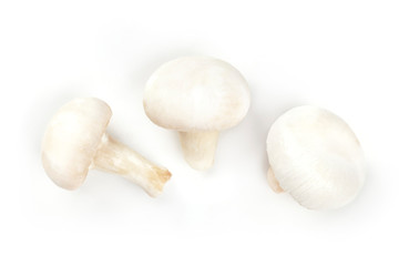 Three champignon mushrooms, shot from the top on a white background, a flat lay composition with copy space