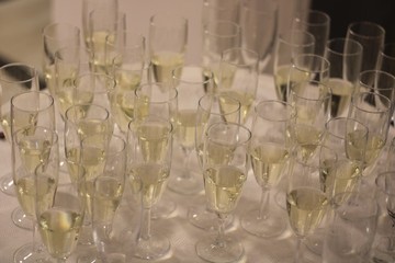 glasses of champagne many wine glasses