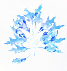 Abstract autumn leaves blue color  background texture digital effect