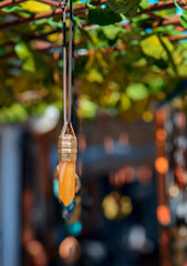amulet of yellow stone..hanging on the rope.Imitation jewelry-beads