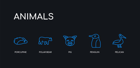 5 outline stroke blue pelican, penguin, pig, polar bear, porcupine icons from animals collection on black background. line editable linear thin icons.