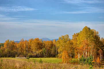 Warm Golden autumn in the mountains of the southern Urals. A great time for photographers and...