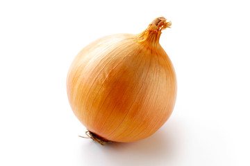 玉ねぎ　白背景