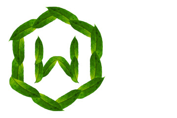 Nature concept alphabet of green leaves Logo W with hexagon shape. Letter W concept Logo.