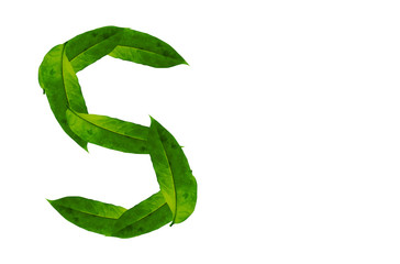 Green leaf letter S Background image. Natural Forest leaf alphabet