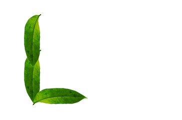 Green leaf letter L Background image. Natural Forest leaf alphabet