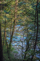 Obraz premium 渓谷の渓流