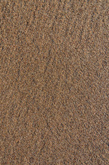 View to the sandy surface.