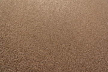 View to the sandy surface.