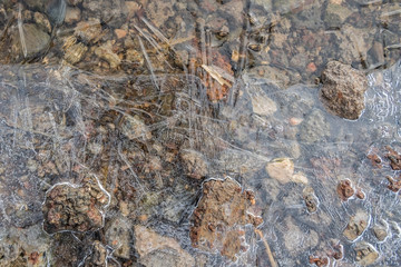 Puddle on the road.