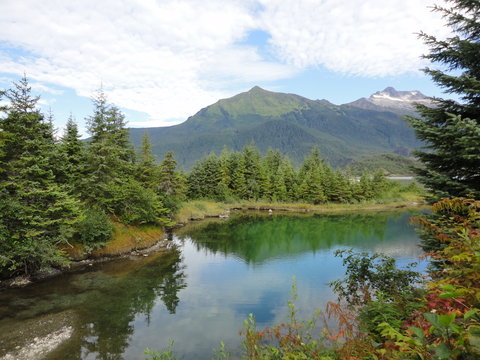 Alaskian Wilderness with lakes and mountains in the middle of tall trees
