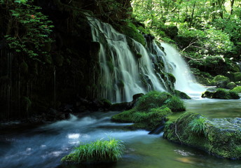 夏の滝