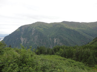 Obraz premium Mountains in the middle of the Alaskan wilderness full of greenery and growth under a heavily clouded sky