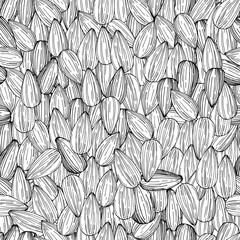 Hand drawn sunflower  seeds. Vector seamless pattern