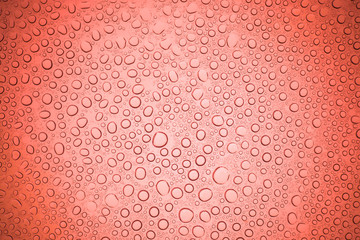 Rain droplets on red glass background, Water drops on glass.