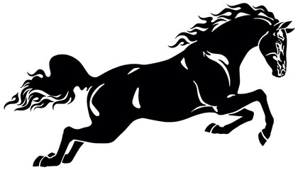 Fototapeta na wymiar jumping horse stallion . Side view . Black and white vector