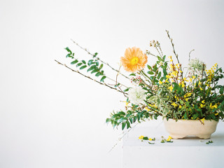 Floral spring background