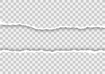 Paper torn. Edge page. Empy paper. Isolated background. - vector