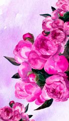 Hand painted floral composition. Watercolor bouquet of peonies.