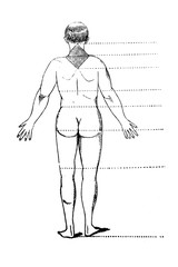 Illustration of naked man from back in a vintage book Home treatment technique, V. Kaminskiy, 1897