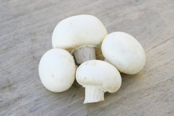 champignons blancs de paris ,isolé