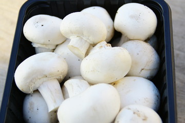 champignons blancs de paris ,isolé