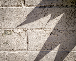 Close-up of cinder block wall with leaf shadows on surface.