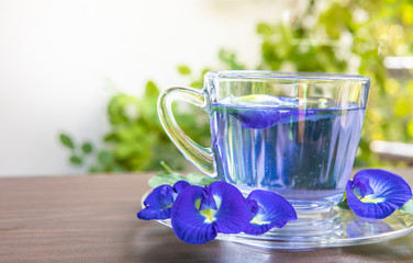 Butterfly pea or Blue pea flower herbal tea and butterfly pea flower.