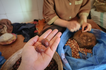 Whole Argan fruit on a hand with blurry local Moroccan woman cracking argan shells in order to get Argan kernels. Essaouira, Morocco.