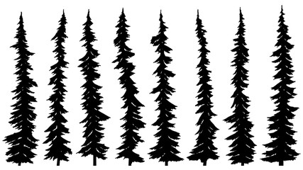 Set of silhouettes of thin tall firs.