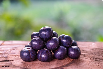 Livistona speciosa is fruits ripe are abundant in the wild on wood table background