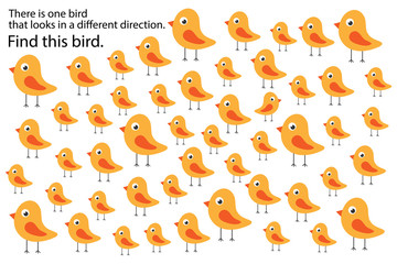 Find bird that looks in other direction, springs education puzzle game for children, preschool worksheet activity for kids, task for the development of logical thinking and mind, vector illustration - obrazy, fototapety, plakaty