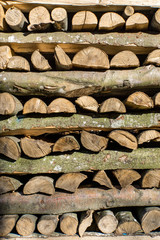 Gehacktes Brennholz, Textur aus Holz