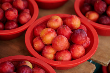 Plums in bowl 