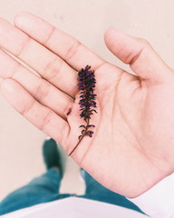 Processed with VSCO with c1 preset