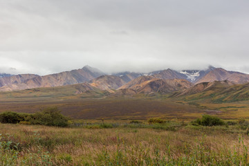Scenic Denali National Park Alaska Autumn Landscape