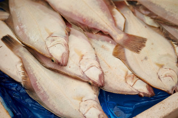 Fresh fishes at market 