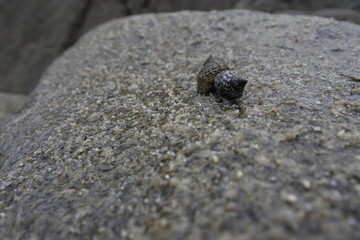 Playa en paisaje mexicano