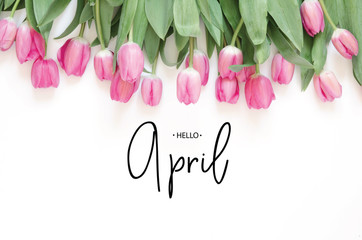 Inscription Hello April. Tulip flower. Spring background.