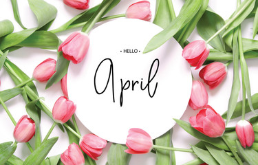 .Inscription Hello April. Tulip flower. Spring background.