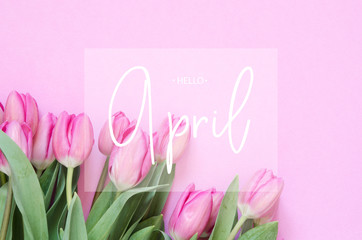 Inscription Hello April. Tulip flower. Spring background.