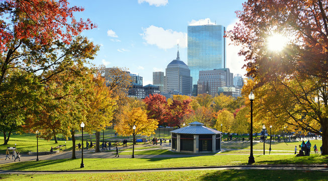 Boston Common In The Fall With Sun Shining Through Trees