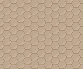 hexagonal stone tiles