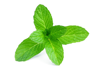 Ayurvedic mint leaves with vintage mortar