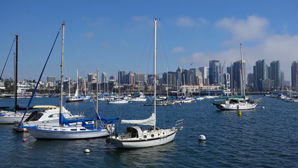 Pretty boats in bay, with San Diego skyline