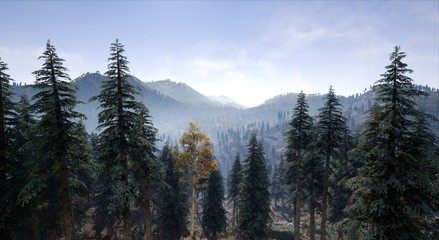 Landscape - With forest and mountains in the background at day light haze