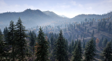 Landscape - View of forest and mountains a path goes through the forest